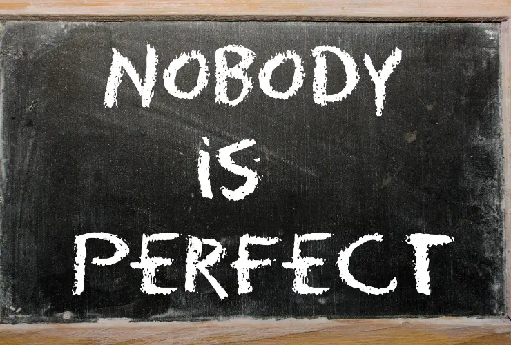 nobody is perfect quotes