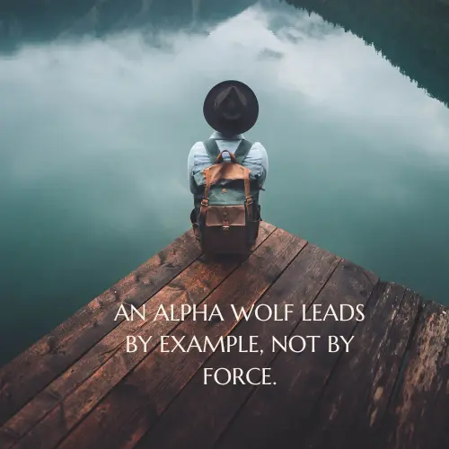 alpha wolf quotes