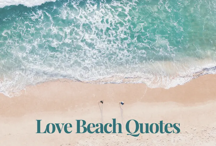 love beach quotes