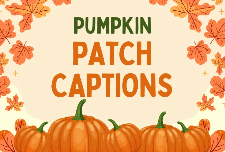 Pumpkin Patch Captions